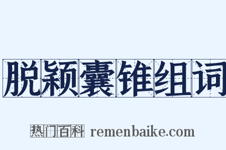 脱颖囊锥组词是什么意思的图片